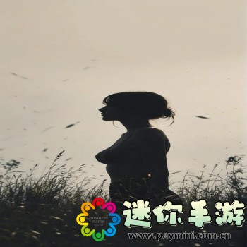 段友影视
