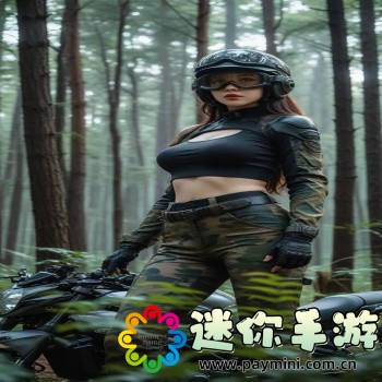 公路骑手