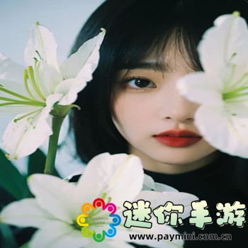 寰宇浏览器