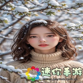 玩客云