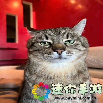 91视频app下载污