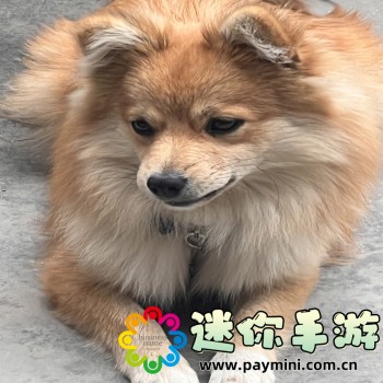 暴风魔镜
