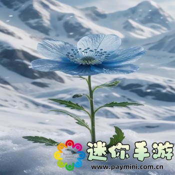 米熊