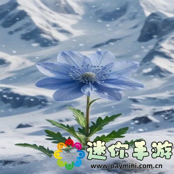 37游戏盒子