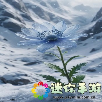成品短视频app源码的价格维特