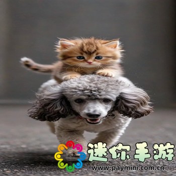 数字华容道