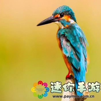 一人之下