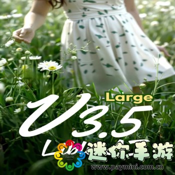 九妖9.1免费版安装