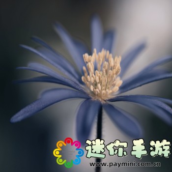 坦克战争