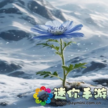 攻城三国