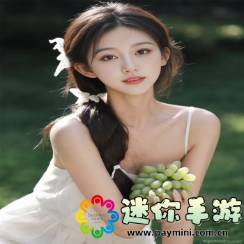 口袋梦三国