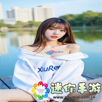 电脑监控软件