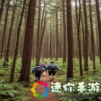 单恋一枝花歌词