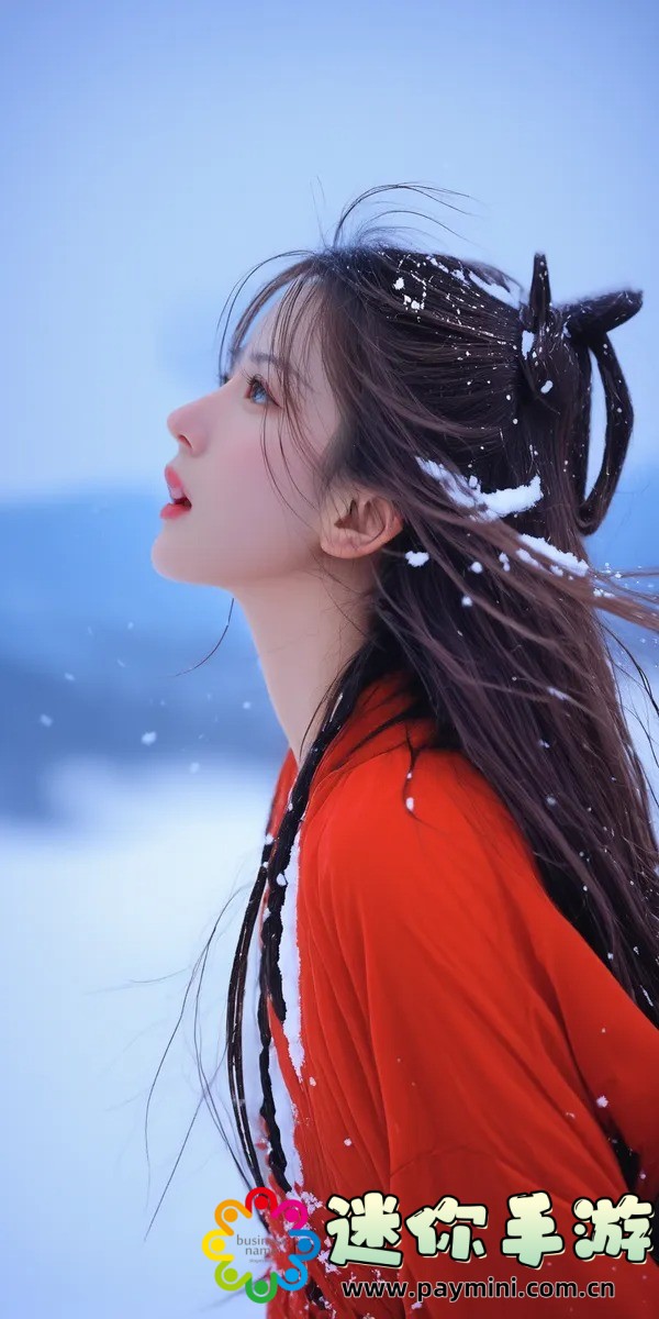 人狗大战java与普通版对比:深度解析两大版本差异与优势