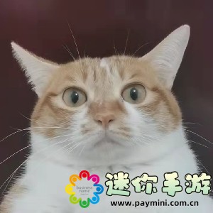 震惊!扒灰内幕大曝光,竟然牵扯出如此骇人听闻的真相!