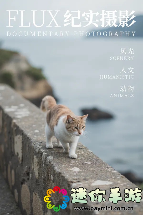 贫民窟里的百万富翁:这部电影如何揭示社会阶层的冲突与希望?