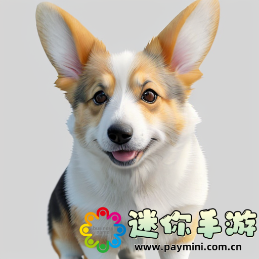 支付宝官网安全功能全面解读,让你的支付更安全,体验更佳!