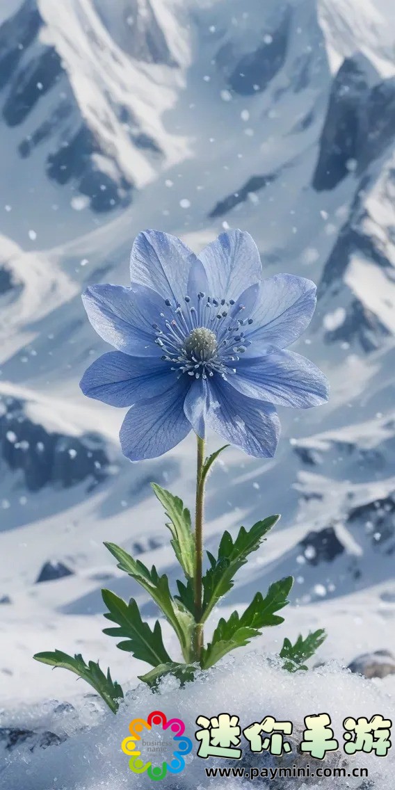 老七干白结33章精彩分析:这些情节如何引领你进入深沉的故事世界?