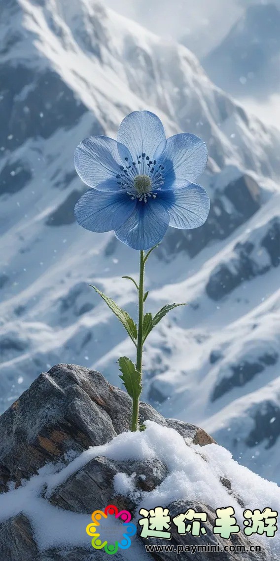 榴莲草莓芒果菠萝香蕉科普:你必须知道的五种水果背后的营养真相!
