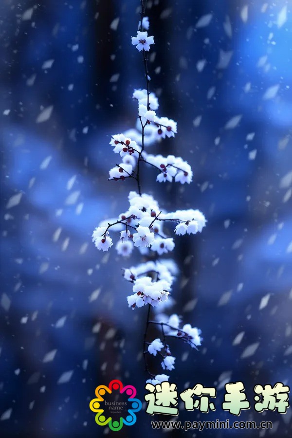 她开始慢迎迎合徐平雪英语:揭秘高效学习英语的终极秘籍