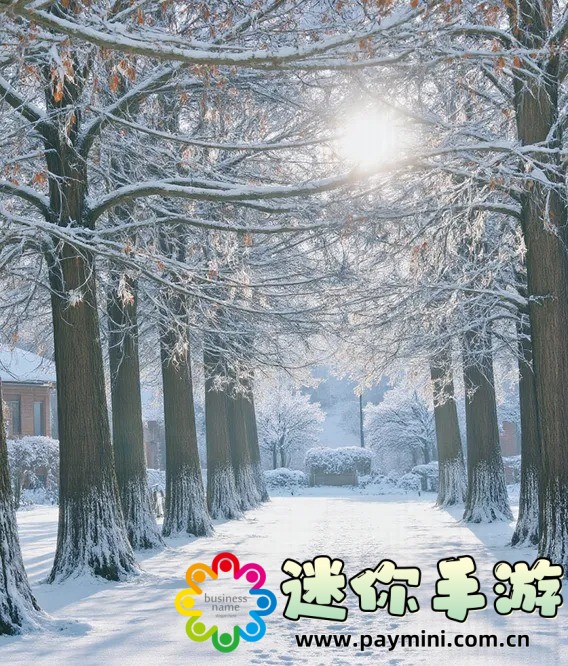 少女哔哩哔哩高清免费播放——让你与梦想相遇的地方
