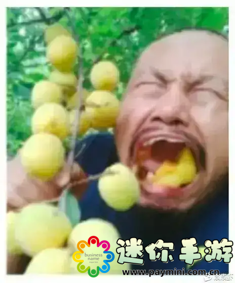 我国最大的佛像是哪一座?揭秘震撼人心的佛教文化遗产!