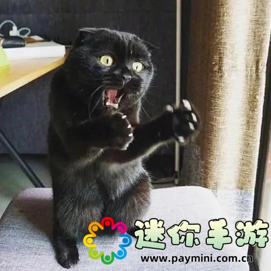 儿子太帅妈妈心动:当母爱与青春邂逅,背后的动人故事是什么?