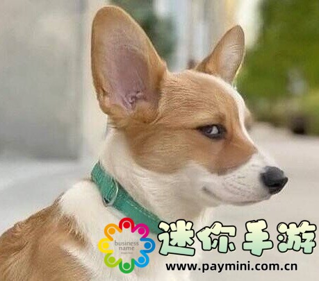颠覆传统!80级火法pvp天赋如何成为竞技场的终极武器!