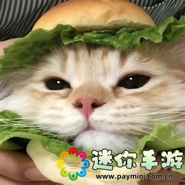《嫡兄的禁阙》:沉浸在宫廷纷争与禁忌之恋中的王朝秘事