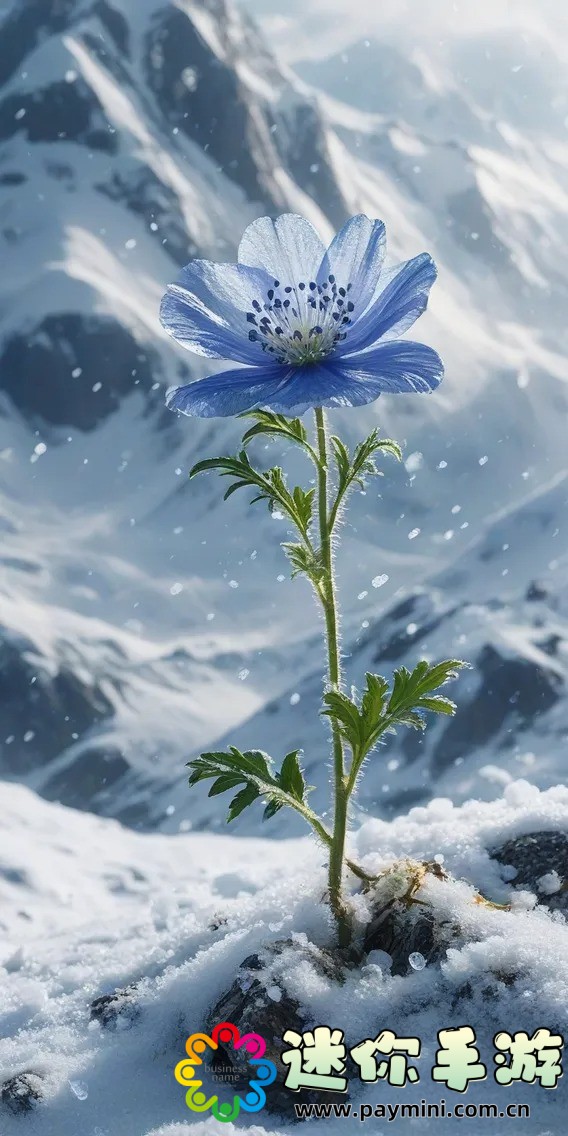 菠萝菠萝蜜在线视频:哪里可以观看这部热门视频?提供最全面资源!