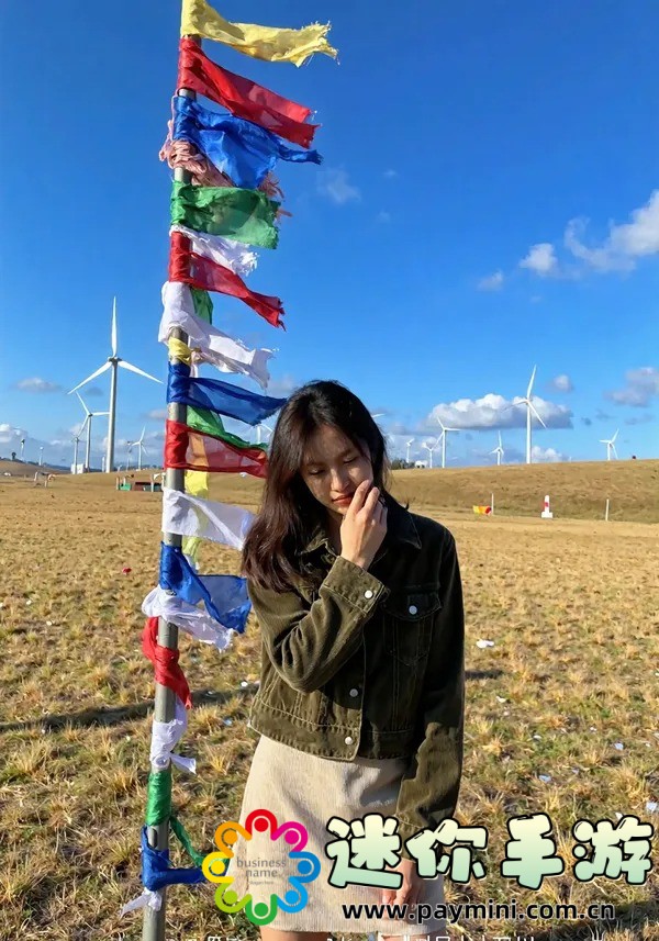 幻兽帕鲁蜂蜜:揭秘神奇蜜源的奥秘与健康益处