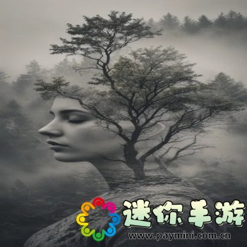 大江湖之苍龙与白鸟