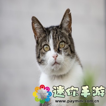火柴人枪战
