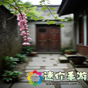 我的新生活