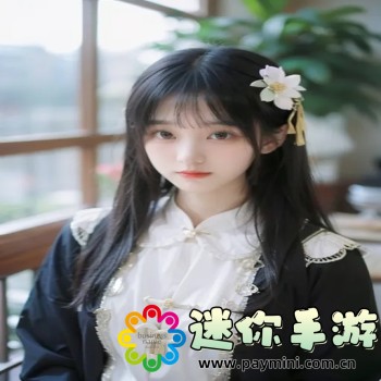 小米系统