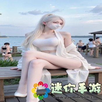 单机三国志